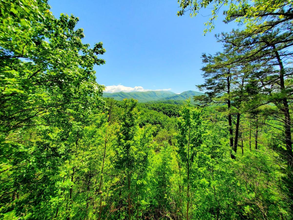 Mountain Ridge Villa Pigeon Forge Buitenkant foto